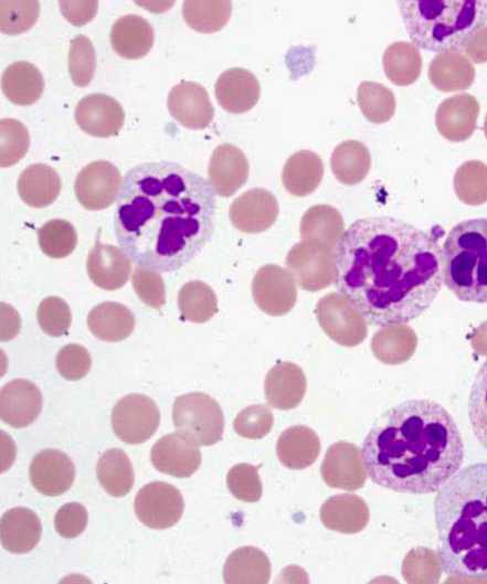 Gina Carano - Angel Dust