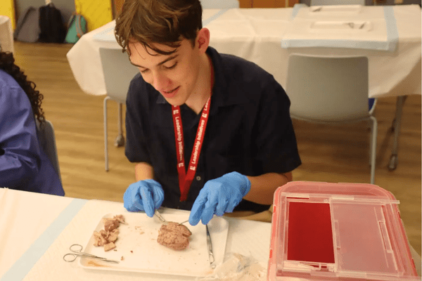 Neuro S1 Alistair Warland Dissection AB min