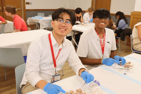 Neuro S1 Amarsai Kusumanchi Dissection AB min