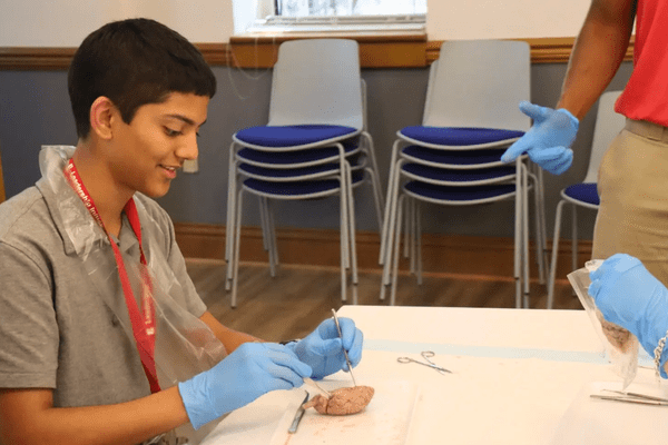 Neuro S1 Anay Bahukhandi Dissection AB min