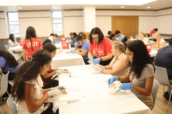 Neuro S1 Anika Sharma Dissection AB min