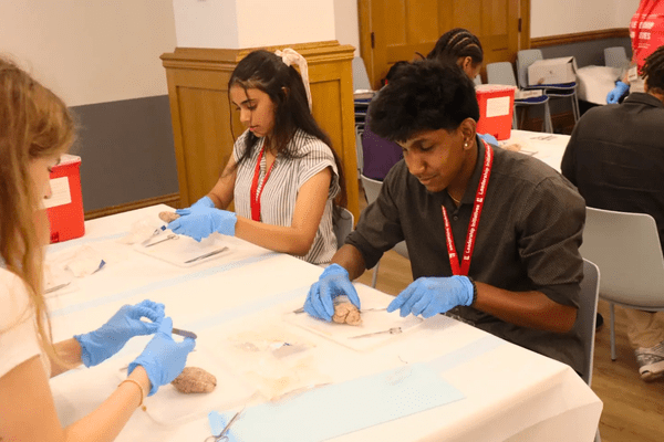 Neuro S1 Anshi Yenamareddy Dissection AB min