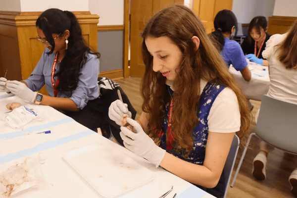 Neuro S1 Antonia Opre Dissection AB min