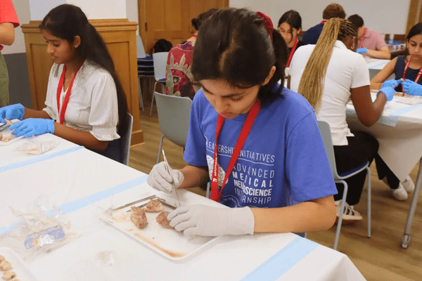 Neuro S1 Atreyi Dalwadi Dissection AB min