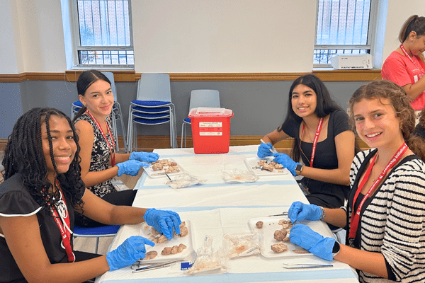 Neuro S1 Avery Carlson Dissection AB min