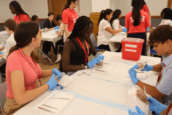 Neuro S1 Cagai Maker Dissection AB min