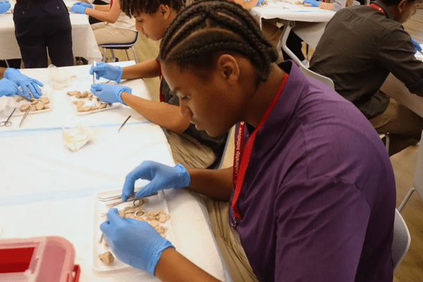 Neuro S1 Caleb Fowlkes Moore Dissection AB min