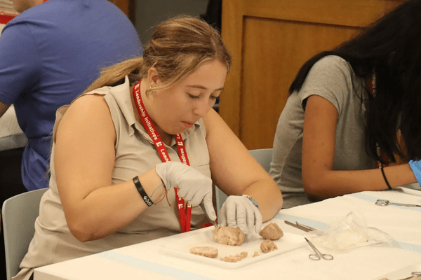 Neuro S1 Caleigh Drown Dissection AB min