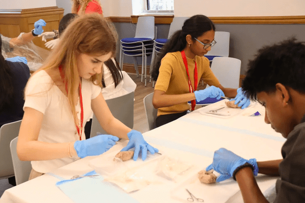 Neuro S1 Ekaterina Kiseleva Dissection AB min