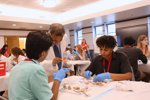 Neuro S1 Elijah Cornwall Dissection AB min