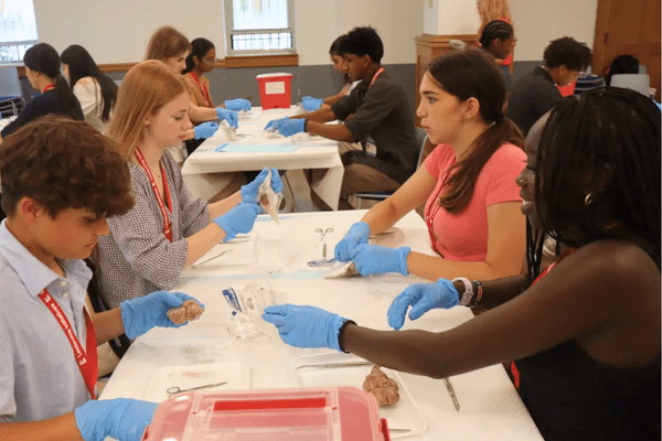 Neuro S1 Emma Stevens Dissection AB min