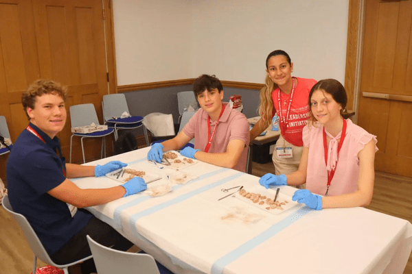 Neuro S1 Grace Hanna Dissection AB min