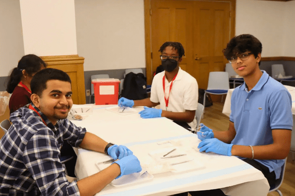 Neuro S1 Ian Sifo Dissection AB min