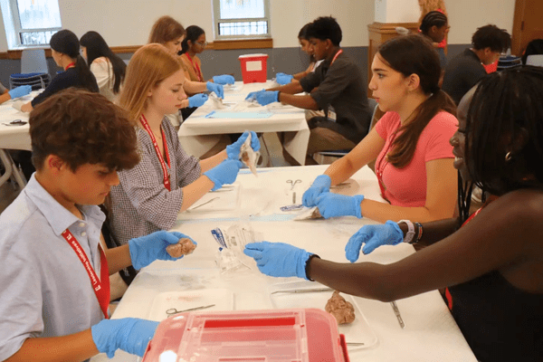 Neuro S1 Jaden Agarwal Dissection AB min