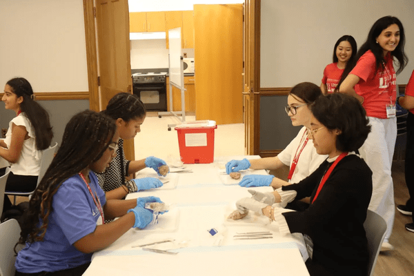 Neuro S1 Jessica Melendez Macin Dissection AB min