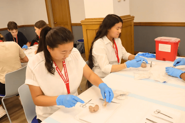 Neuro S1 Joule Chang Dissection AB min