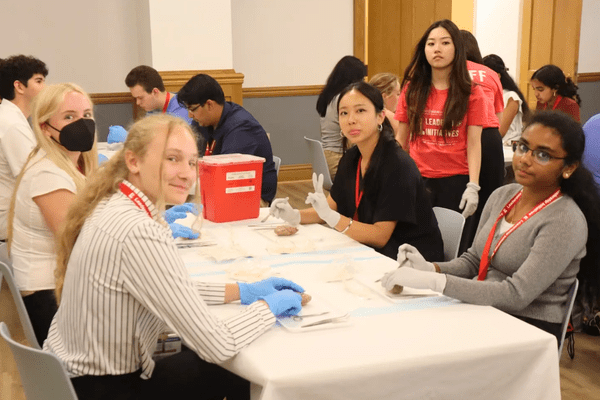 Neuro S1 Kalia Washington Dissection AB min