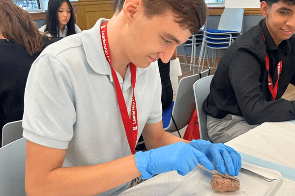 Neuro S1 Klajd Xhili Dissection AB min