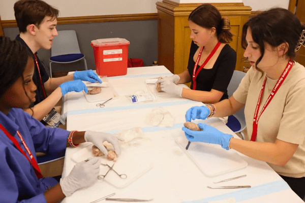 Neuro S1 Lia Copeland Dissection AB min