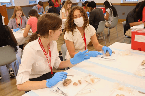 Neuro S1 Madeline Brill Dissection AB min