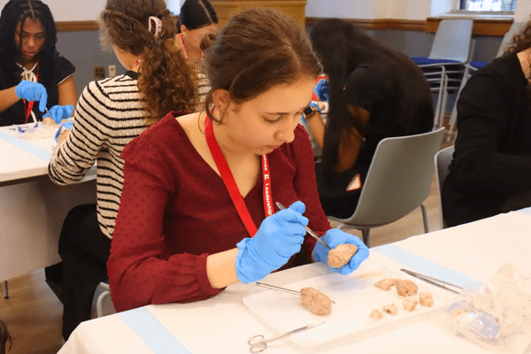 Neuro S1 Maisie Miller Dissection AB min