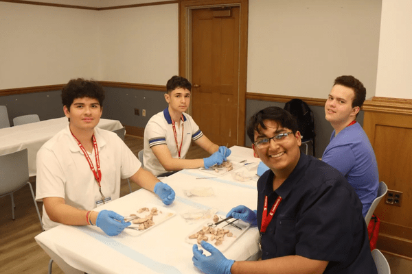 Neuro S1 Mason Shepherd Dissection AB min