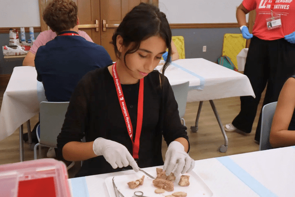 Neuro S1 Mila Sanchez Dissection AB min