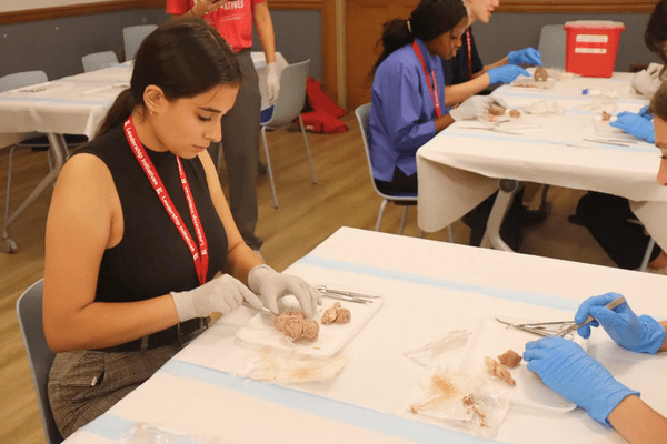 Neuro S1 Mylee Fischer Dissection AB min