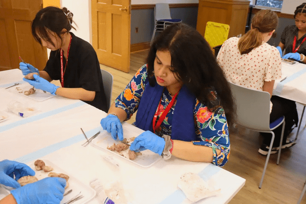 Neuro S1 Nusaima Alam Dissection AB min