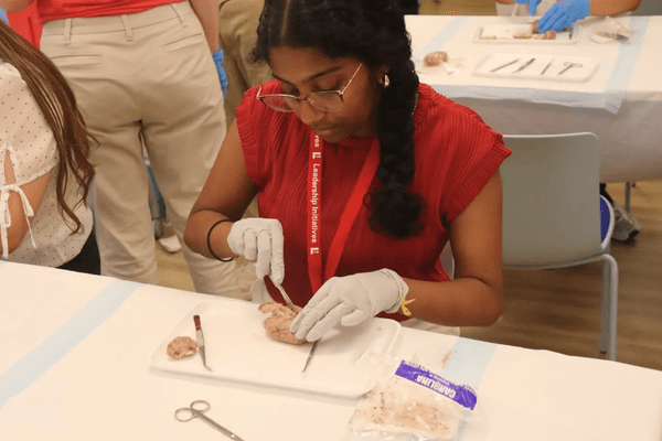 Neuro S1 Poorvi Roopesh Dissection AB min