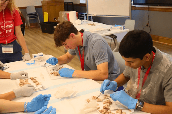 Neuro S1 Reese Deller Dissection AB min