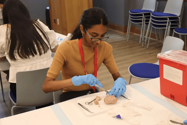 Neuro S1 Rishika Abhishetty Dissection AB min