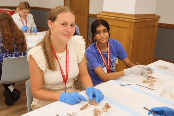 Neuro S1 Riya Gorla Dissection AB min