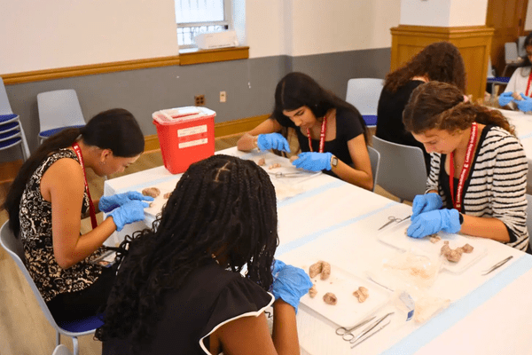 Neuro S1 Sahana Raju Dissection AB min