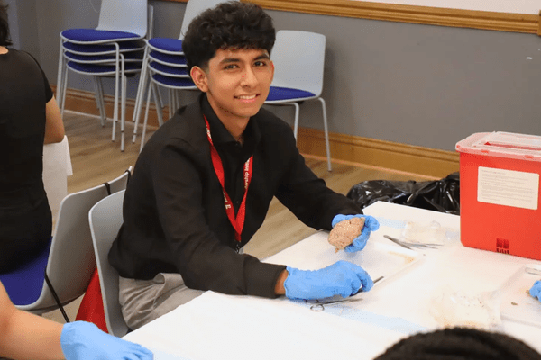 Neuro S1 Stefano Carpio Dissection AB min