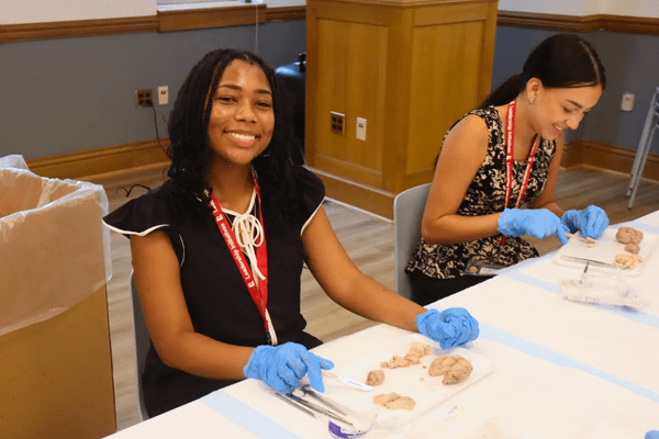 Neuro S1 Victoria Aros Dissection AB min