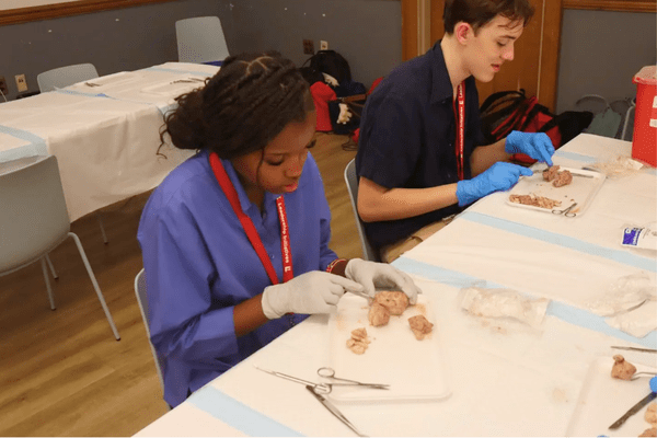 Neuro S1 Virginia Kamau Dissection AB min