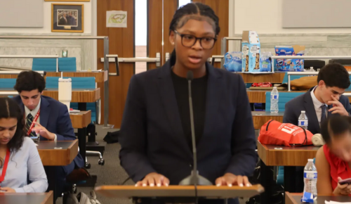 Criminal Law and Trial Session 2 Podium Ali