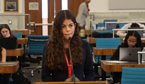 Criminal Law and Trial Session 2 Podium Alison