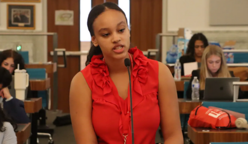 Criminal Law and Trial Session 2 Podium Dinah Elias 1