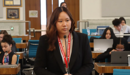 Criminal Law and Trial Session 2 Podium Helin Wang 1