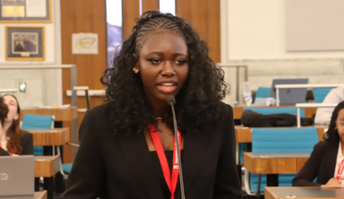 Criminal Law and Trial Session 2 Podium Karina Cho 1