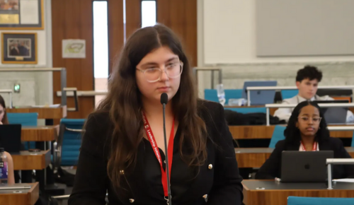 Criminal Law and Trial Session 2 Podium Mariam Endeladze 1