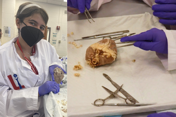 Internship Highlights 1