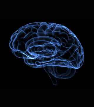 Neuro Menu 4