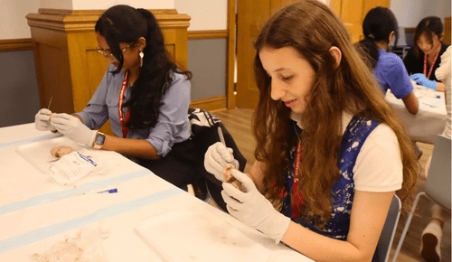 Neuro S1 Antonia Opre Neuromod 2 AB min