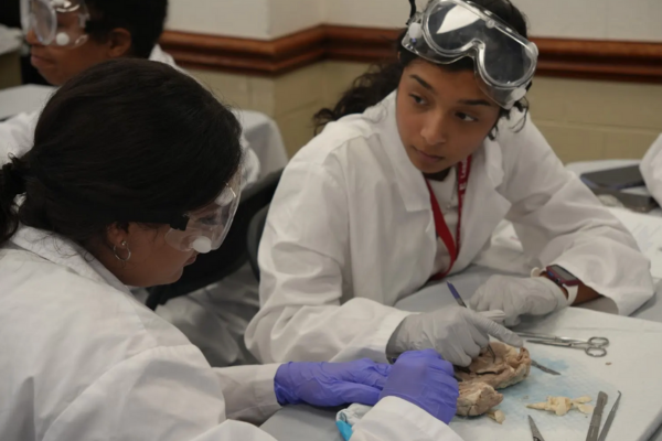 S3_Aveena_Solanki_Skill