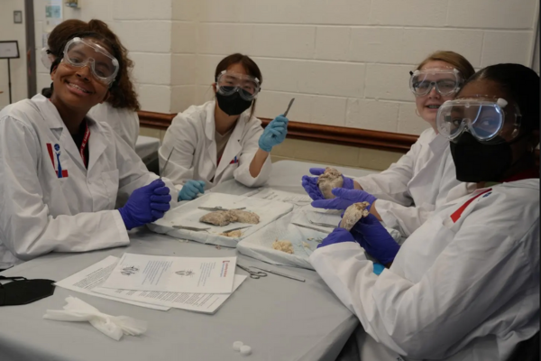 S3_Bijou_Pierre_Skill