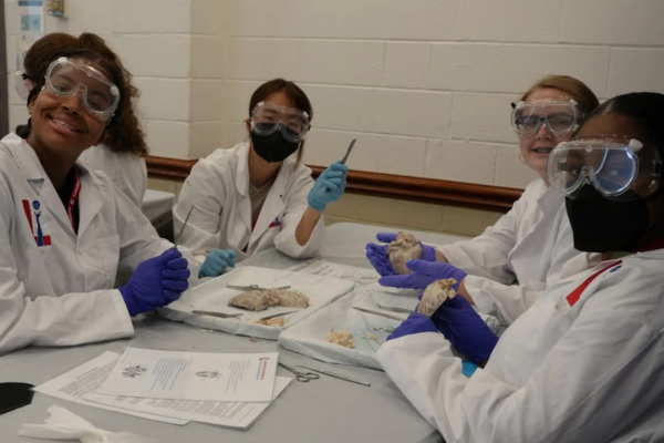 S3_Bridget_Shore_Skill