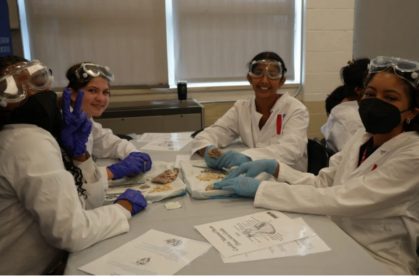 S3_Brielle_Arias_Skill